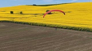Tekirdağ'da sarı şölen! Kartpostalları aratmadı 