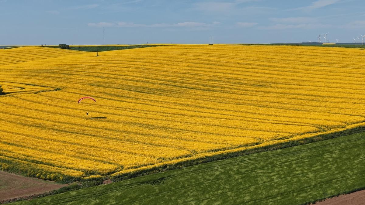 Tekirdağ da sarı ş&ouml;len! Kartpostalları aratmadı  1