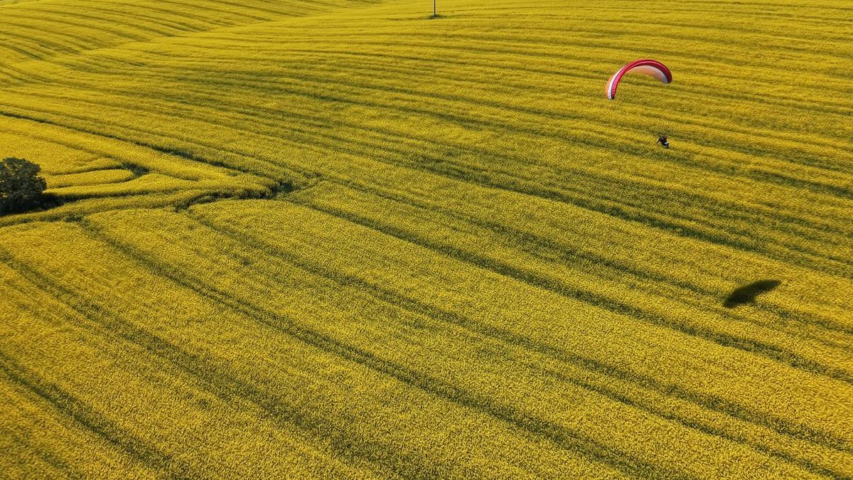 Tekirdağ da sarı ş&ouml;len! Kartpostalları aratmadı  2