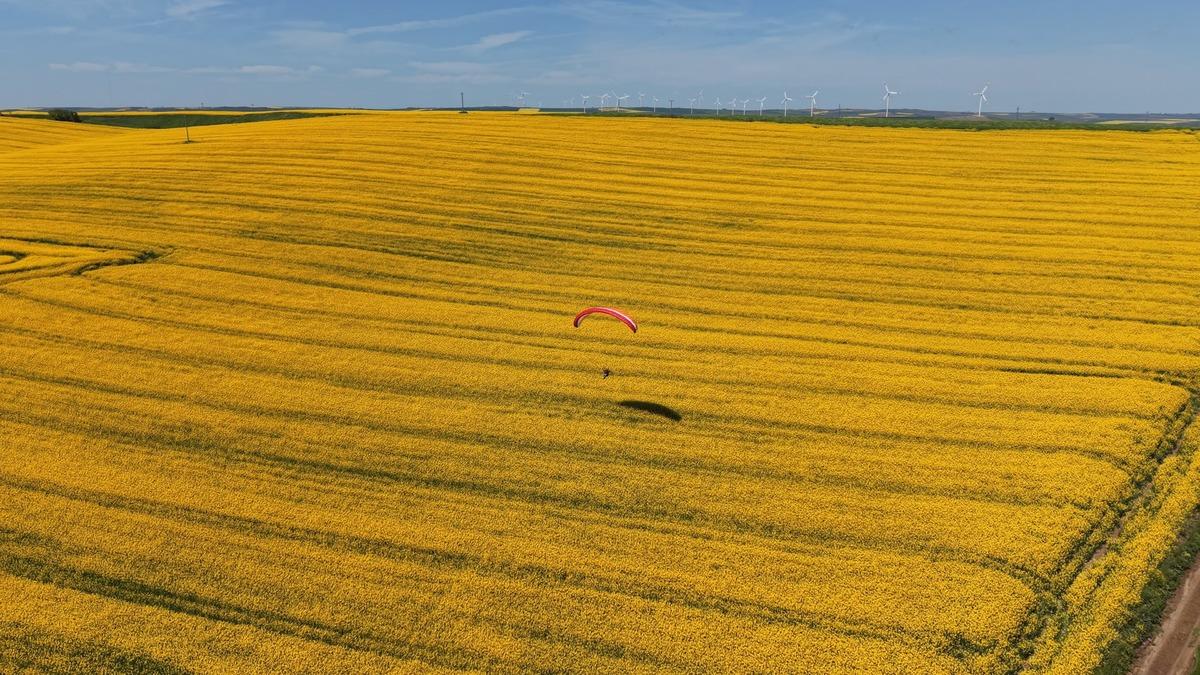 Tekirdağ da sarı ş&ouml;len! Kartpostalları aratmadı  3