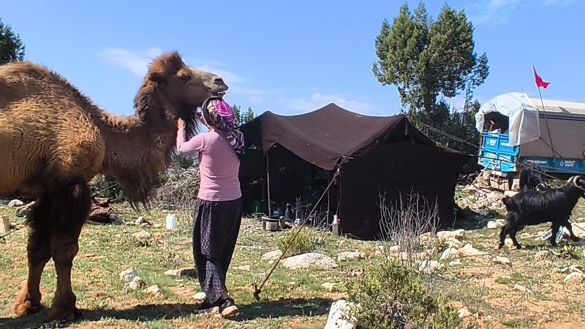 1000 yıllık gelenek: Toroslar da Y&ouml;r&uuml;k g&ouml;&ccedil;&uuml; başladı 9