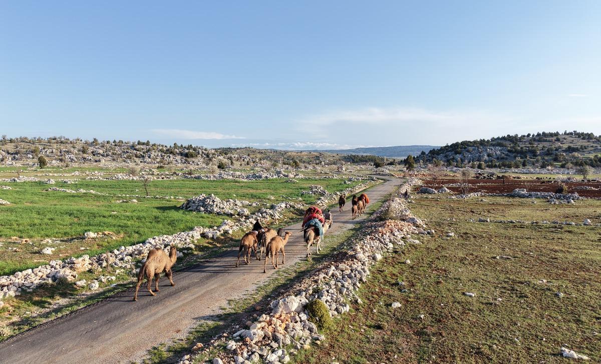 1000 yıllık gelenek: Toroslar da Y&ouml;r&uuml;k g&ouml;&ccedil;&uuml; başladı 11