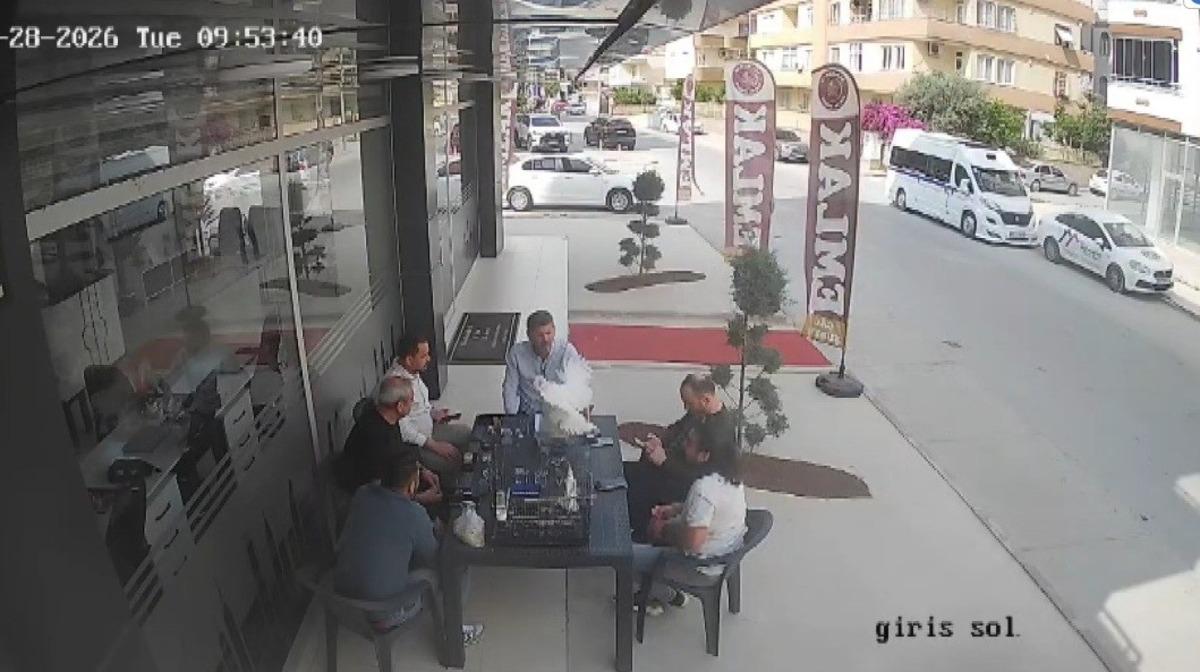 5. kattan u&ccedil;an tavuk masaya d&uuml;şt&uuml;! Panik anları kamerada 1