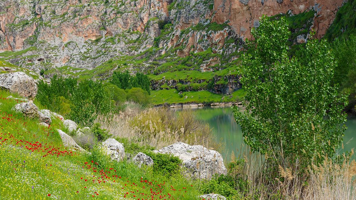 Fırat Nehri kıyısında 5 bin yıllık sır! Akın akın g&ouml;rmeye geliyorlar 1