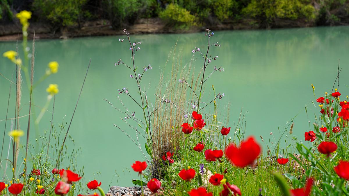 Fırat Nehri kıyısında 5 bin yıllık sır! Akın akın g&ouml;rmeye geliyorlar 3