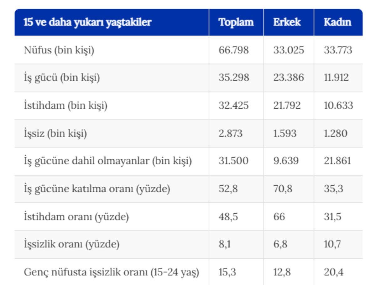 T&uuml;rkiye de işsizlik oranı y&uuml;zde 8,1 e geriledi, atıl işg&uuml;c&uuml; y&uuml;zde 31,5&rsquo;e &ccedil;ıktı 2