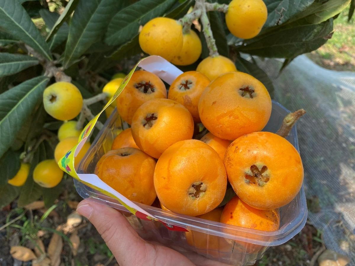  Sarı altın  d&ouml;nemi başladı: İ&ccedil; pazar 50-100 TL, dış pazar 4 dolar 5