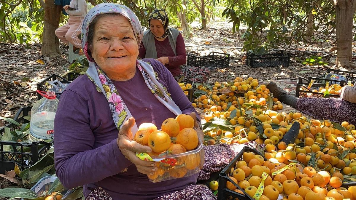  Sarı altın  d&ouml;nemi başladı: İ&ccedil; pazar 50-100 TL, dış pazar 4 dolar 6