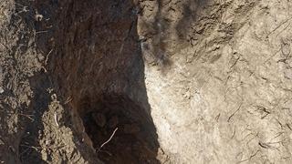 Tekirdağ’da mezarlıkta define aradılar