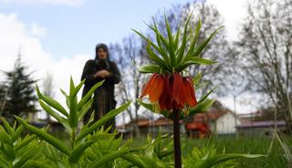 5 yıl sonra a&ccedil;tı: Bu &ccedil;i&ccedil;eğe zarar vermenin cezası 700 bin TL!