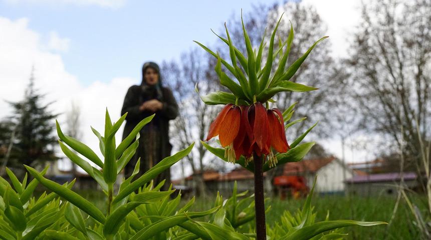 5 yıl sonra a&ccedil;tı: Bu &ccedil;i&ccedil;eğe zarar vermenin cezası 700 bin TL!