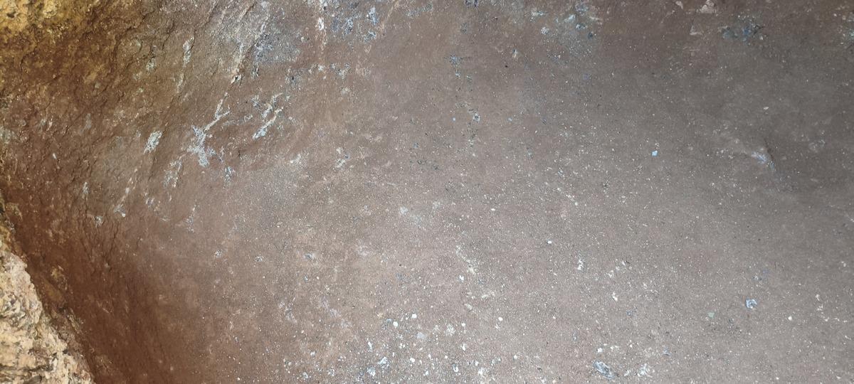 Belediye kazısında bulundu! İ&ccedil;inden k&uuml;p ve insan kemikleri &ccedil;ıktı 5