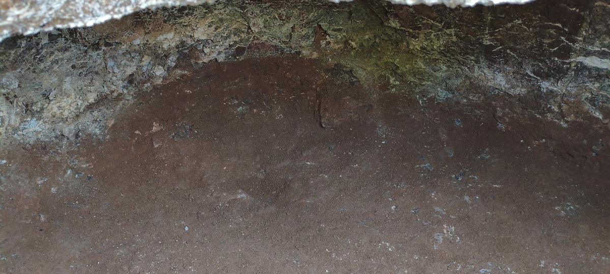 Belediye kazısında bulundu! İ&ccedil;inden k&uuml;p ve insan kemikleri &ccedil;ıktı 4