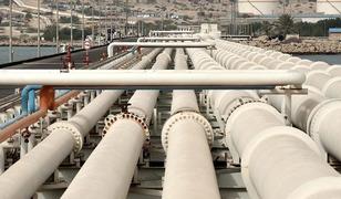 Spot piyasada doğal gaz fiyatları (29 Nisan 2026)