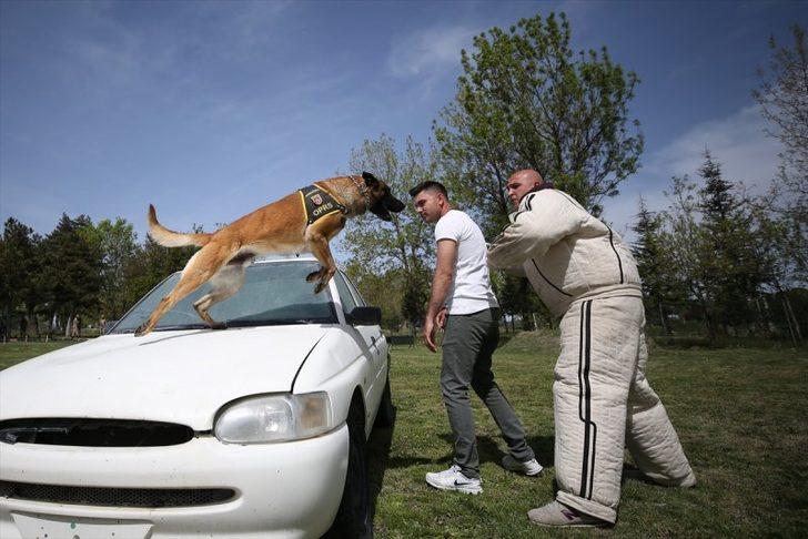 Terörle mücadelenin patlayıcı avcılarına hassas eğitim  G3