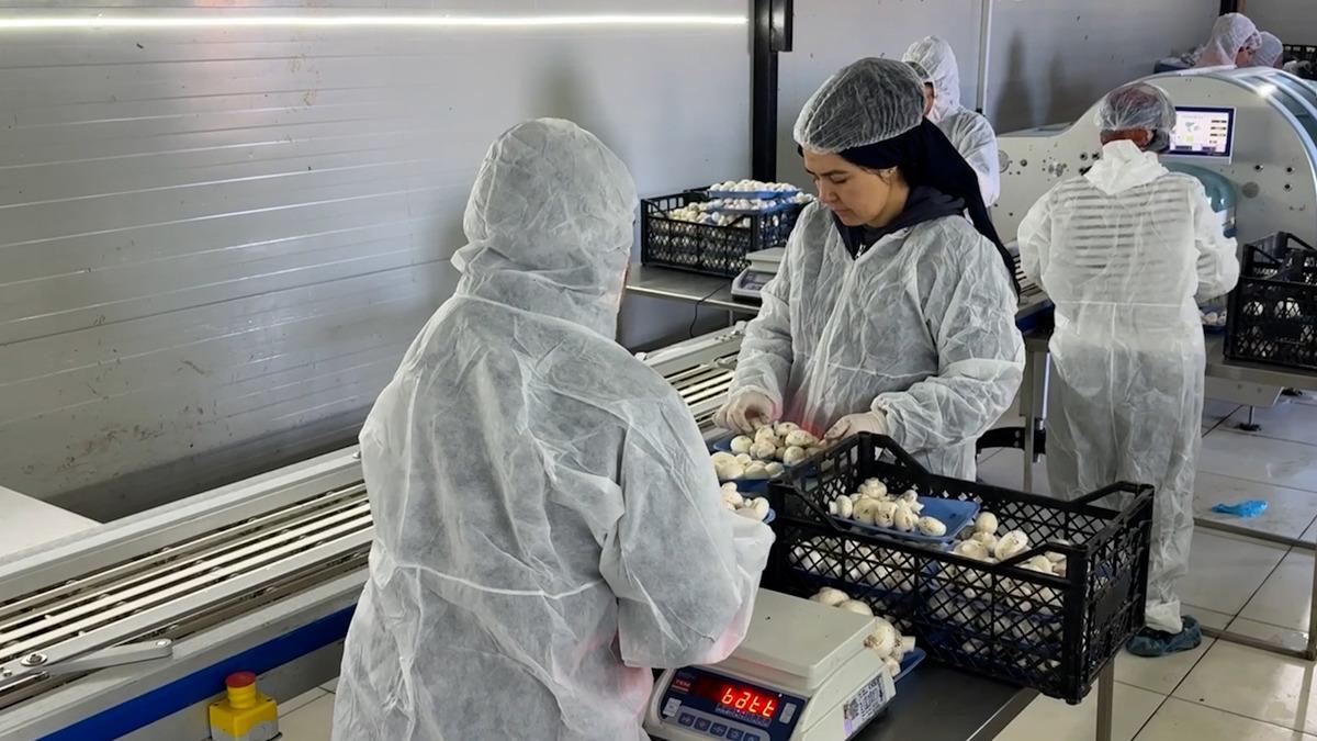 Bakan Yumaklı Kırsal Kalkınma Yatırım Programı 2026 başvuru d&ouml;neminin başladığını duyurdu 1