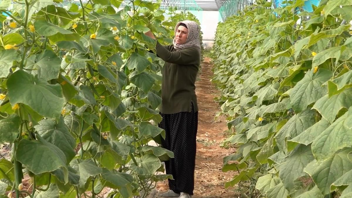 Bakan Yumaklı Kırsal Kalkınma Yatırım Programı 2026 başvuru d&ouml;neminin başladığını duyurdu 4