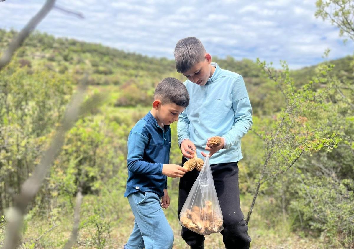 Kilosu 2 bin TL: Toplayıp satmak i&ccedil;in akın ediyorlar 1