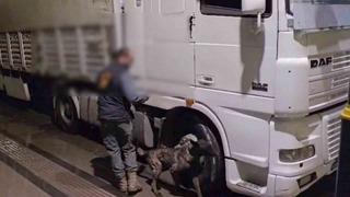 Sivas’ta 12 kilo uyuşturucu ele geçirildi: 2 tutuklama