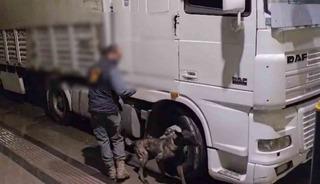 Sivas&rsquo;ta 12 kilo uyuşturucu ele ge&ccedil;irildi: 2 tutuklama