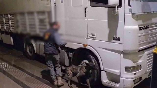 Sivas’ta 12 kilo uyuşturucu ele geçirildi: 2 tutuklama