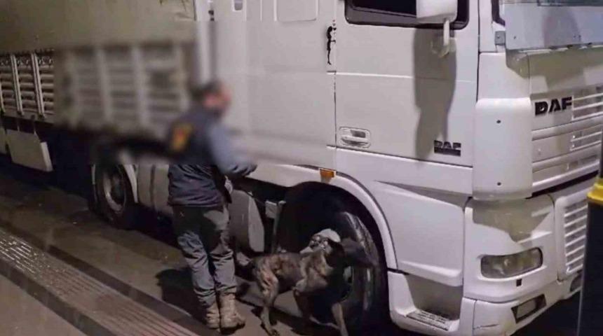 Sivas&rsquo;ta 12 kilo uyuşturucu ele ge&ccedil;irildi: 2 tutuklama