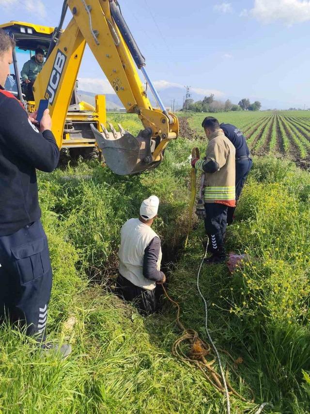 Antakya&rsquo;da kuyuya d&uuml;şen b&uuml;y&uuml;kbaş hayvan kurtarıldı 3