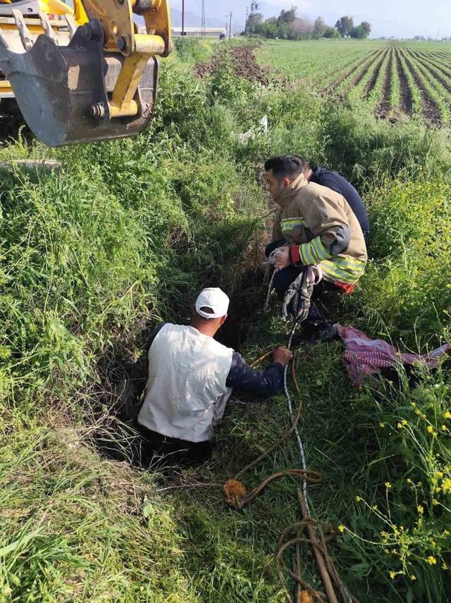 Antakya&rsquo;da kuyuya d&uuml;şen b&uuml;y&uuml;kbaş hayvan kurtarıldı 2