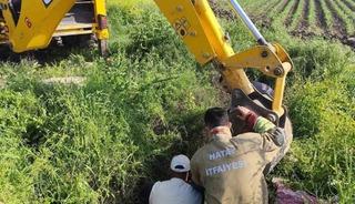 Antakya&rsquo;da kuyuya d&uuml;şen b&uuml;y&uuml;kbaş hayvan kurtarıldı