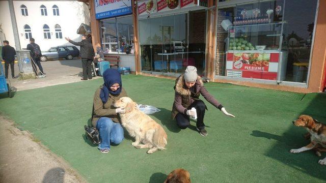 İnsanlığın ölmediğini bir kere daha gösterdiler