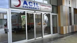 Van'da köpeklerin saldırdığı 5 yaşındaki çocuk hayatını kaybetti