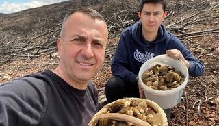 Baba oğul mantar avında hazine buldu! 4 sepet doldurdular