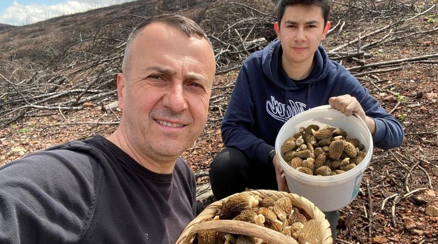 Baba oğul mantar avında hazine buldu! 4 sepet doldurdular