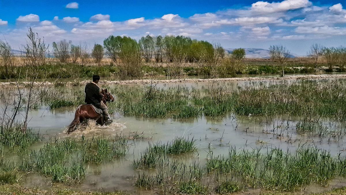 8 yıl sonra yeniden canlanıyor! &Ccedil;ift&ccedil;ileri sevindiren haber 1