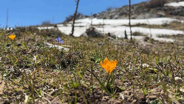 Bahar ve kış mevsimi aynı anda g&ouml;r&uuml;nt&uuml;lendi, ortaya eşsiz manzara &ccedil;ıktı 1