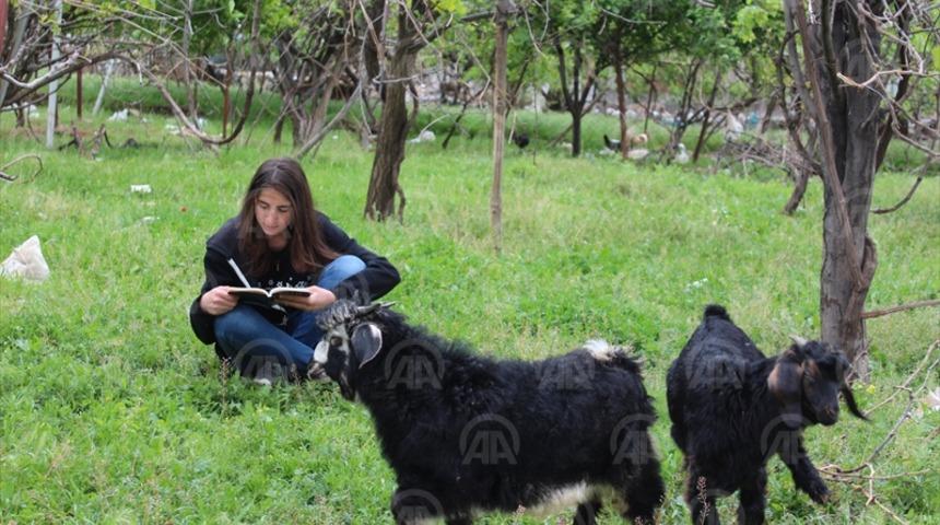 Cumhurbaşkanı Erdoğan'dan koyun otlatırken kitap okuyan Kader'e 23 Nisan daveti