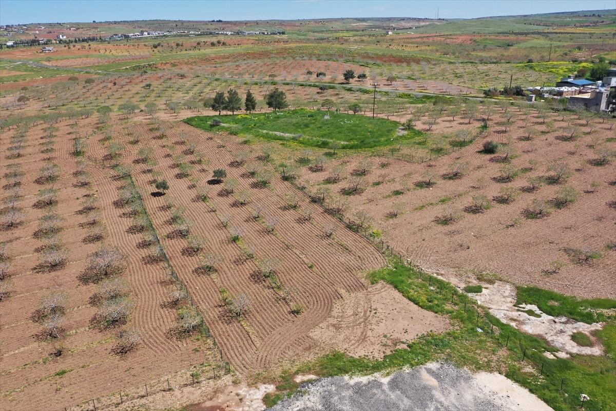 Bu il&ccedil;e d&uuml;nya g&uuml;ndeminde! &ldquo;Ne kadar s&uuml;rerse s&uuml;rs&uuml;n&rdquo; dediler, Japonya ve &Ccedil;in den geldiler 1