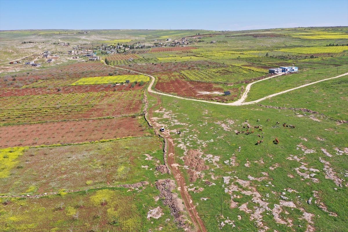 Bu il&ccedil;e d&uuml;nya g&uuml;ndeminde! &ldquo;Ne kadar s&uuml;rerse s&uuml;rs&uuml;n&rdquo; dediler, Japonya ve &Ccedil;in den geldiler 2