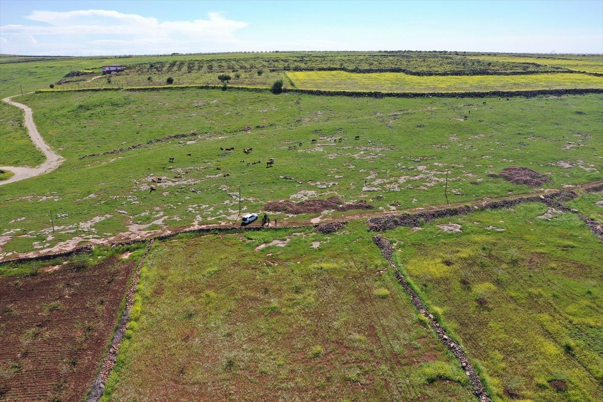 Bu il&ccedil;e d&uuml;nya g&uuml;ndeminde! &ldquo;Ne kadar s&uuml;rerse s&uuml;rs&uuml;n&rdquo; dediler, Japonya ve &Ccedil;in den geldiler 4