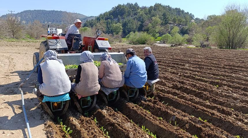 Selendi'de tarım iş&ccedil;isi yevmiyesi belli oldu