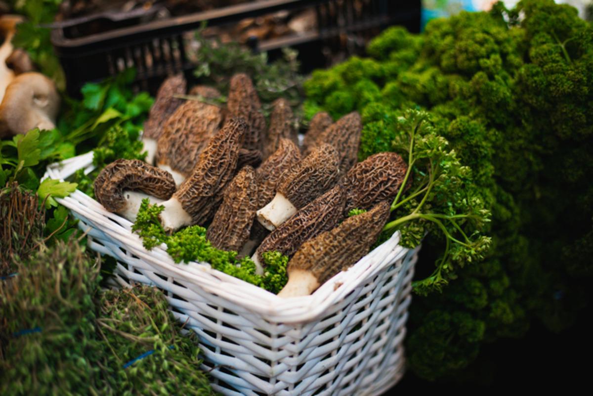  Kara elmas  kendini g&ouml;sterdi! Hem lezzetli hem de demir deposu 2