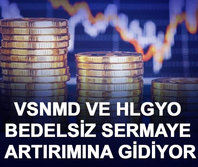 VSNMD ve HLGYO bedelsiz sermaye artırımına gidiyor