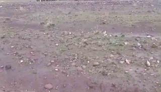 Iğdır&rsquo;da sağanak ve dolu sonrası sel: Hayvanlar son anda kurtarıldı