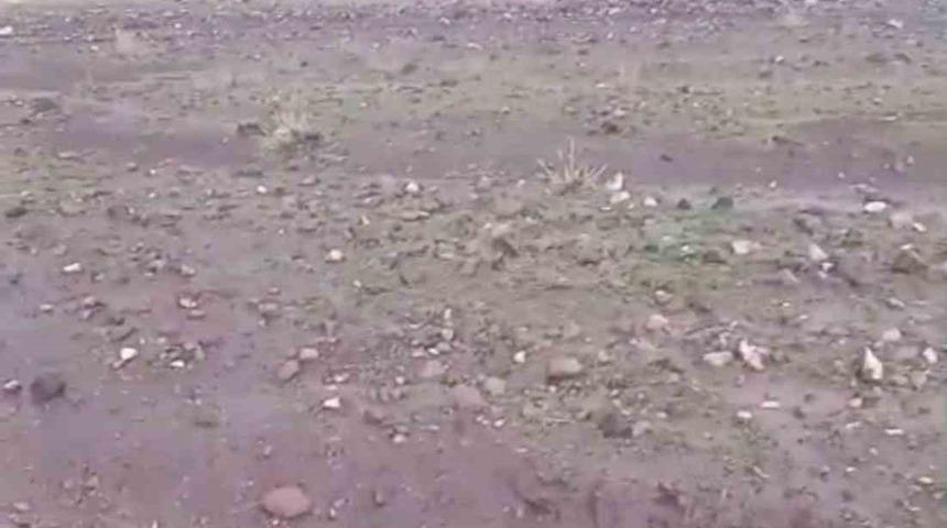 Iğdır&rsquo;da sağanak ve dolu sonrası sel: Hayvanlar son anda kurtarıldı