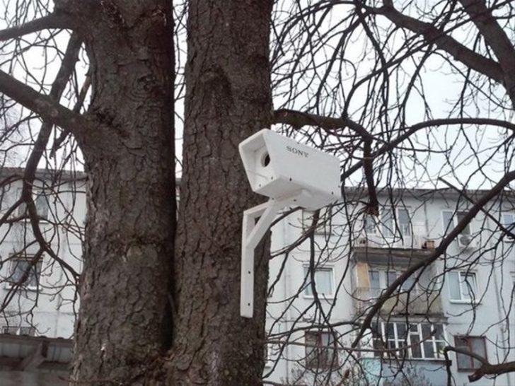 Tahtalarla hırsızları kandırdı  G5