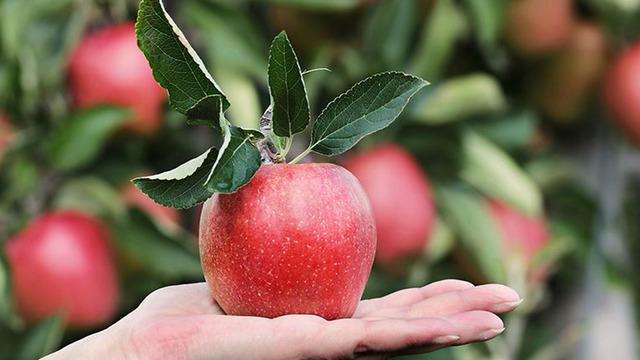 En fazla fiyat farkı olan ürün açıklandı! Yüzde 393'lük makas var