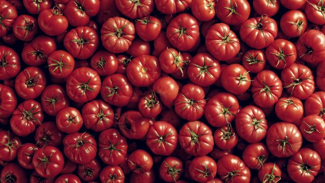 Dünyanın en iyi domatesleri belli oldu! Türkiye’den o ilçe listeye damga vurdu