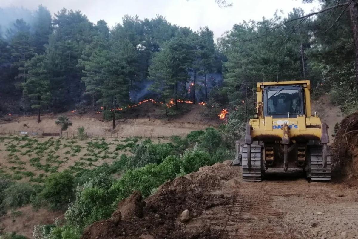 Şakalaşırken orman yangını çıkarmıştı! Dudak uçuklatan ceza: 43 milyon 752 bin lira... 6