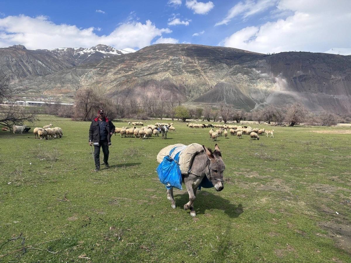 Bahar gelmesiyle birlikte g&uuml;nl&uuml;k 5-6 bin lira tasarruf yapıyorlar 2