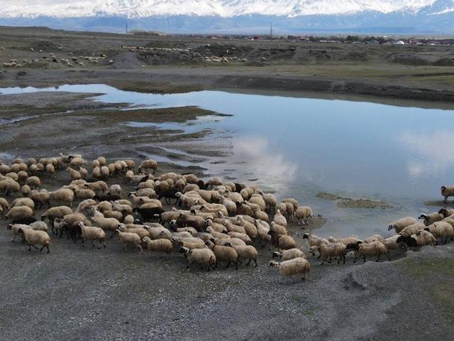 Bahar gelmesiyle birlikte g&uuml;nl&uuml;k 5-6 bin lira tasarruf yapıyorlar